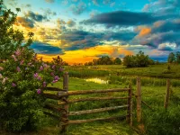 Пазл Тын в поле