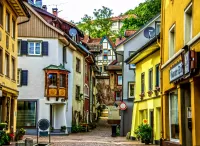 Пазл Тинген Германия