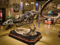 Пазл Тиранозавр