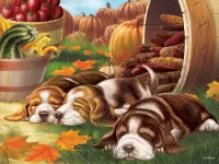 Пазл Три друга