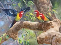 Пазл Три попугая