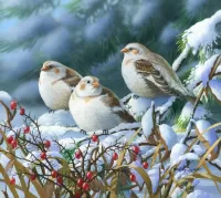 Пазл Три птицы