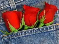 Пазл Три розы