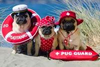 Пазл Три спасателя