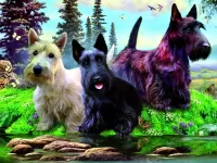 Пазл Три терьера