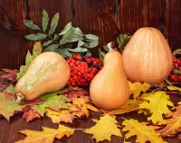 Пазл Три тыквы