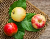 Пазл Три яблока