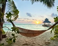 Пазл Тропики