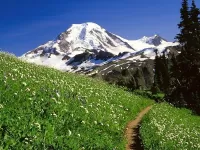 Пазл Тропинка в горах