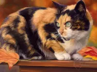 Пазл Трёхцветная кошка