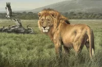 Пазл Царь зверей