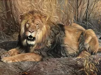 Пазл Царь зверей