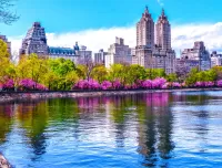 Пазл Центральный парк