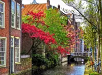 Пазл Цветение