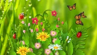 Пазл Цветы и бабочки