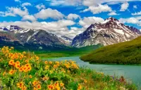 Пазл Цветы и горы
