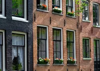 Пазл Цветы и окна