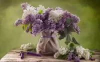 Пазл Цветы сирени