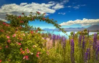 Пазл Цветы у моря