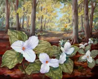 Пазл Цветы в лесу 
