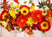 Пазл Цветник гербер