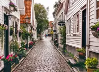 Пазл Цветочная улица