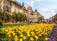 Пазл Цветочный ковер