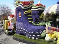 Пазл Цветочный башмак