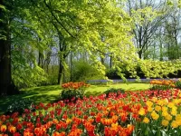 Пазл Цветочный сад