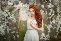 Пазл Цветущая вишня
