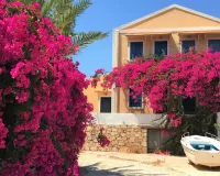 Пазл Цветет бугенвиллия