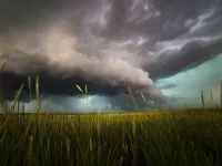 Пазл Тучи над полем