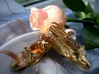 Пазл Туфельки для Золушки