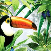 Пазл Тукан