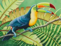 Пазл Тукан