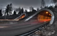 Пазл Туннель