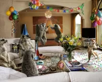 Пазл Тусовка