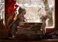 Пазл Творческие котята