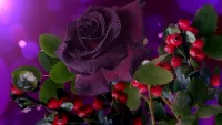Пазл Тёмная красавица