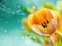 Пазл Тюльпан_бокэ