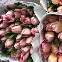 Пазл Тюльпаны