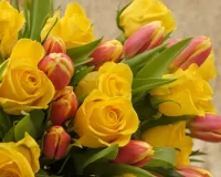 Пазл Тюльпаны и розы