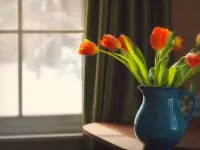Пазл Тюльпаны у окна