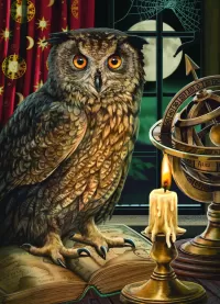 Пазл У астролога