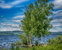 Пазл У реки