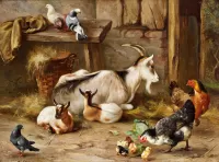 Пазл У сарая