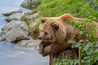 Пазл У воды