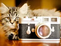 Пазл Улыбочку