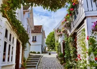 Пазл Улица в Ставангере