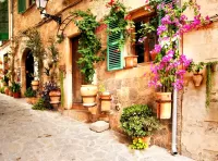 Пазл Улица в Вальдемосе